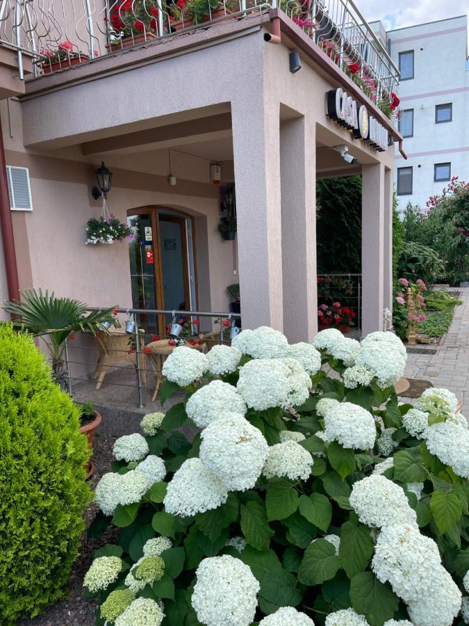 Ametist Casa Leului Hotell Năvodari Exteriör bild